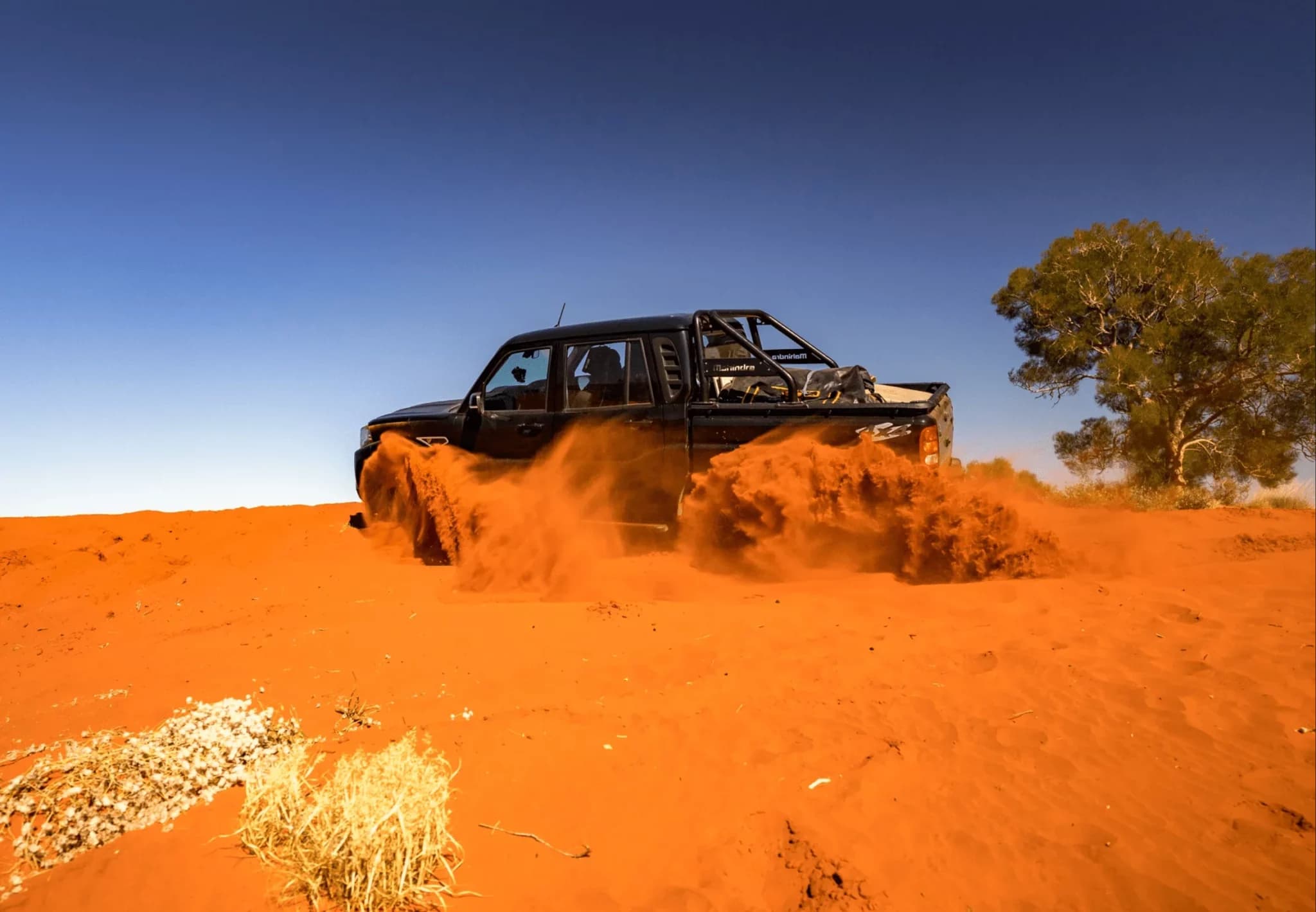 Pik Up Double Cab — image 1